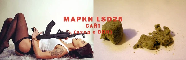 гашик Россошь