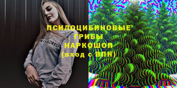 Альфа ПВП Белокуриха