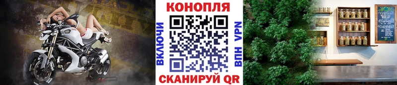 Бошки марихуана Bruce Banner  Емва 